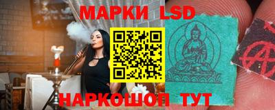 прущие грибы Будённовск