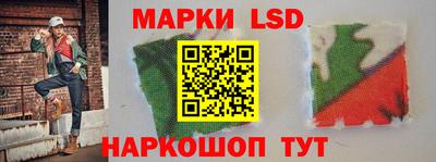 прущие грибы Будённовск