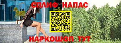 прущие грибы Будённовск
