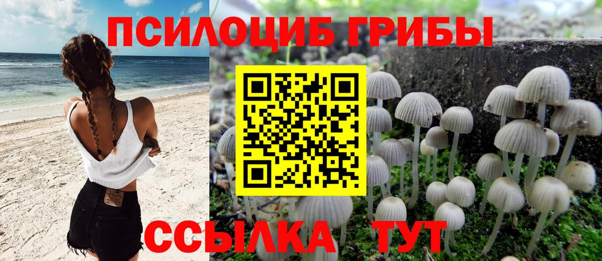 Галлюциногенные грибы прущие грибы  Вход с VPN  Энгельс 